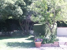 Enlarge photo 68