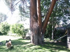 Enlarge photo 73
