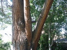 Enlarge photo 72