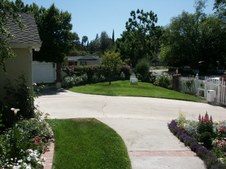 Enlarge photo 81