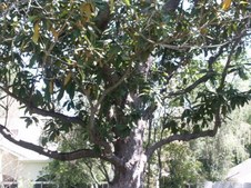 Enlarge photo 46