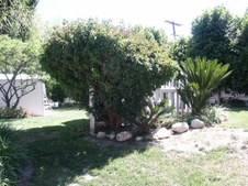 Enlarge photo 52