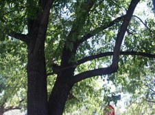 Enlarge photo 63