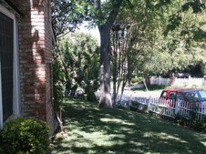 Enlarge photo 67