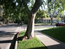 Enlarge photo 47