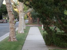 Enlarge photo 58