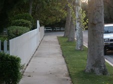 Enlarge photo 60