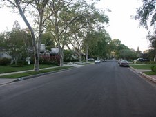 Enlarge photo 63
