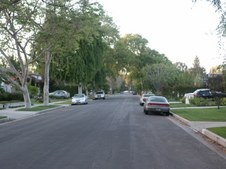 Enlarge photo 64