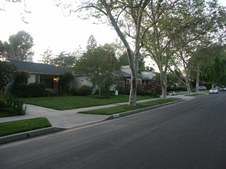 Enlarge photo 71