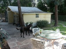 Enlarge photo 67