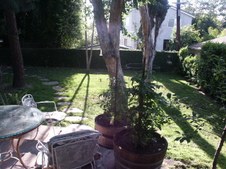 Enlarge photo 71