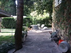Enlarge photo 81