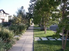 Enlarge photo 113
