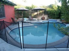 Enlarge photo 78