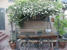 Enlarge photo 83