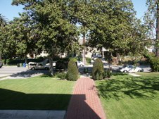 Enlarge photo 87