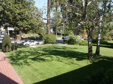 Enlarge photo 91