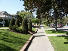 Enlarge photo 93