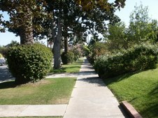 Enlarge photo 97