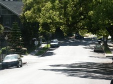 Enlarge photo 106