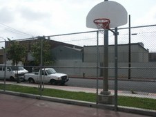 Enlarge photo 65