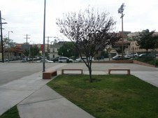 Enlarge photo 24