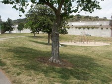 Enlarge photo 35