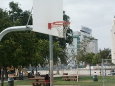 Enlarge photo 41