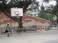 Enlarge photo 13
