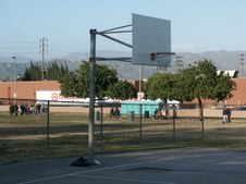 Enlarge photo 31