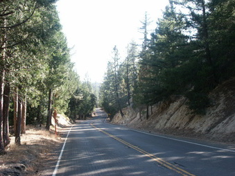 Enlarge photo 11