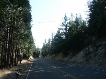 Enlarge photo 12