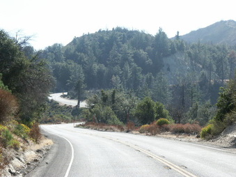 Enlarge photo 2