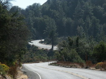 Enlarge photo 3