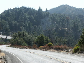 Enlarge photo 4