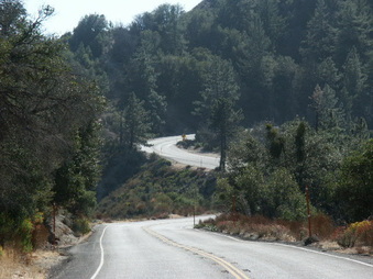 Enlarge photo 6