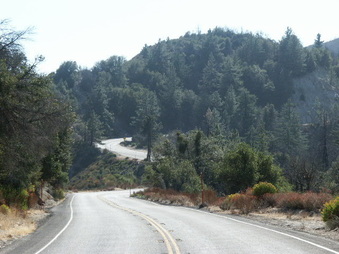 Enlarge photo 7