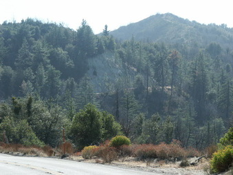 Enlarge photo 10