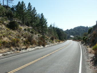 Enlarge photo 12