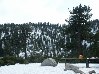 Enlarge photo 2