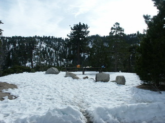 Enlarge photo 5