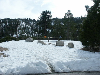 Enlarge photo 8