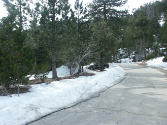 Enlarge photo 9