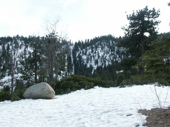 Enlarge photo 10