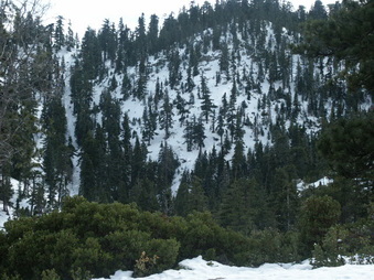 Enlarge photo 11