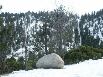 Enlarge photo 12