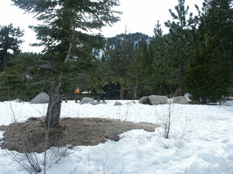 Enlarge photo 13