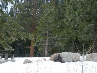 Enlarge photo 14