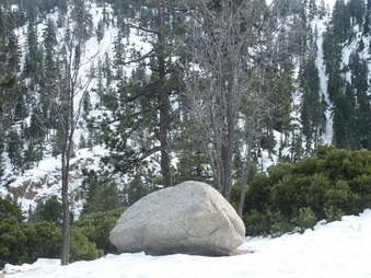 Enlarge photo 15